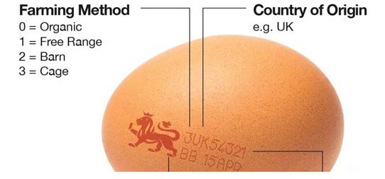 The British Lion mark explained